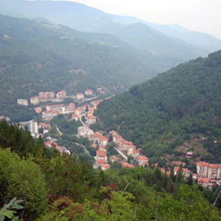 Forest Spring Hotel Narechenski Bani